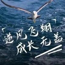 清风揽月