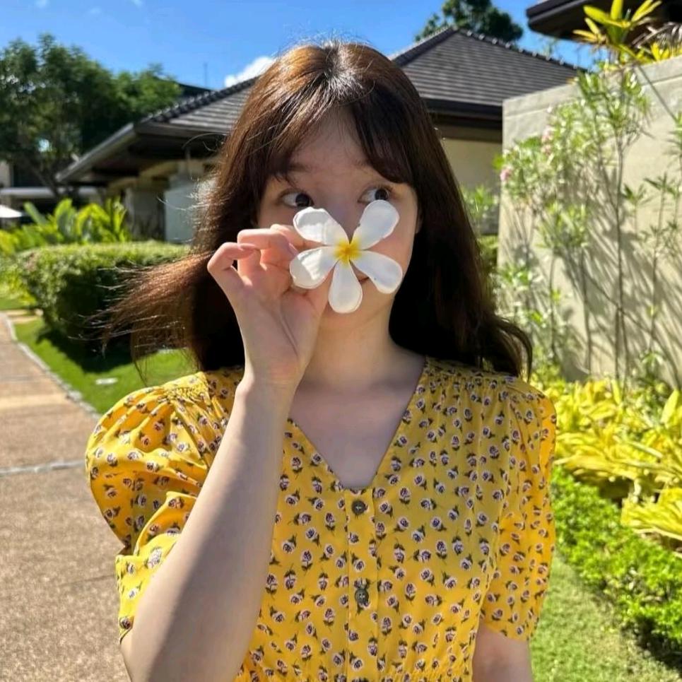 反方向的鸠