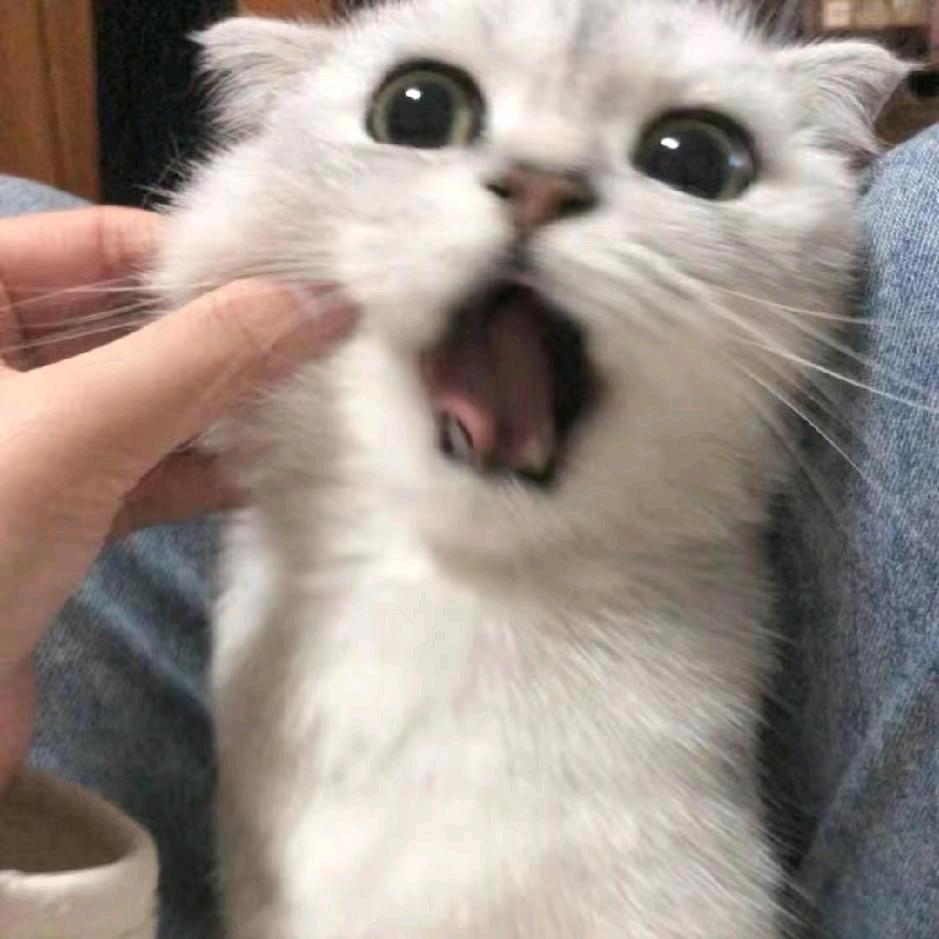 R ..