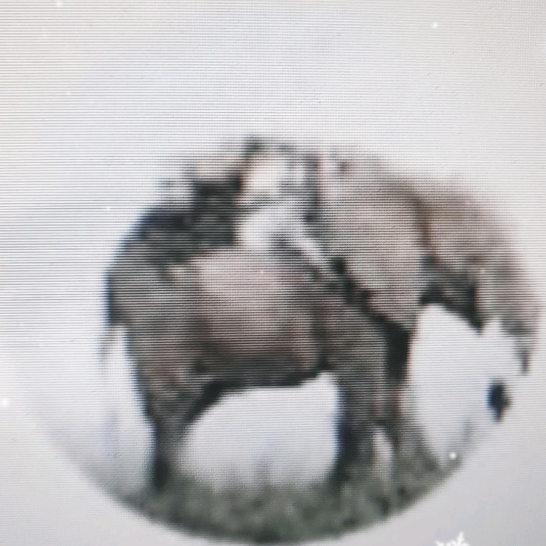 一行朱砂