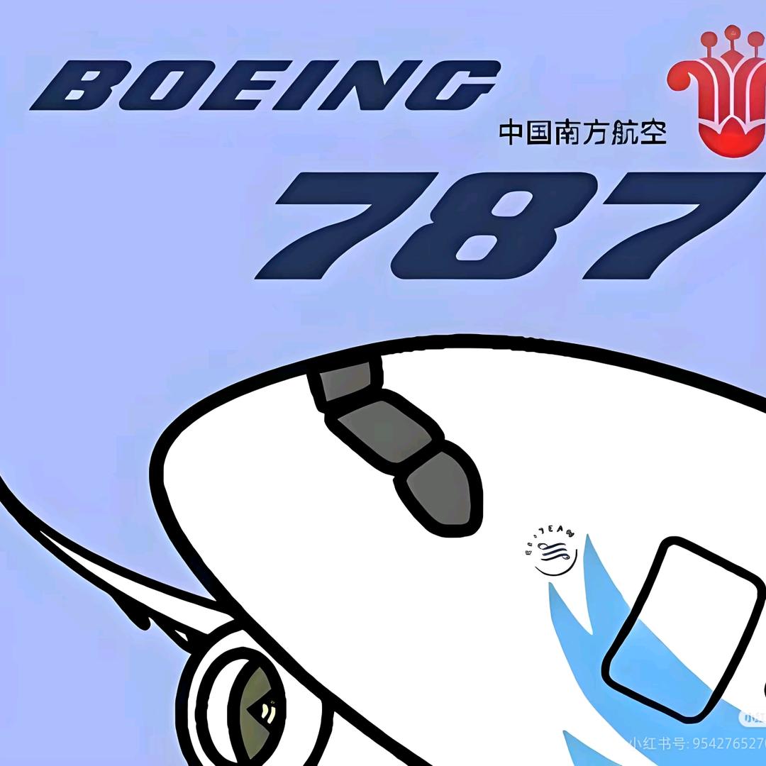 天上飞的787