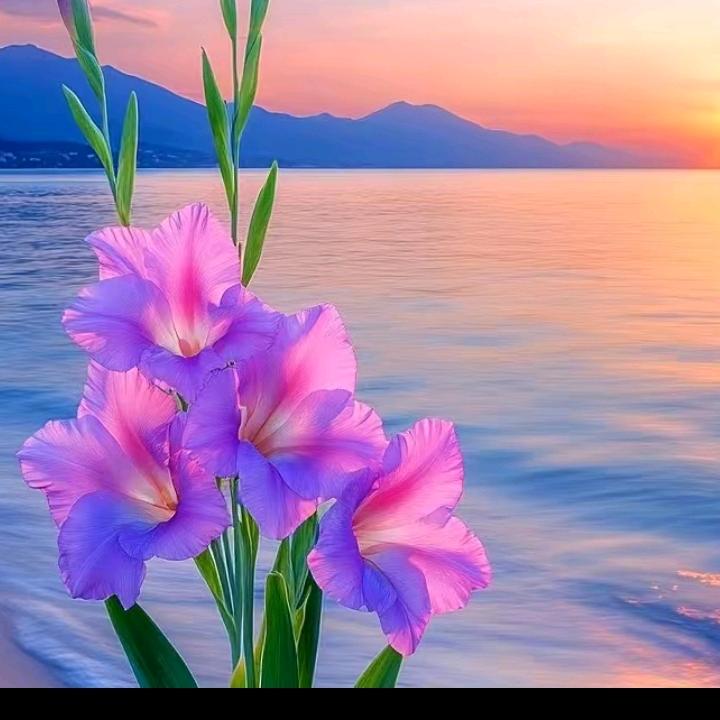 幸福像花儿一样