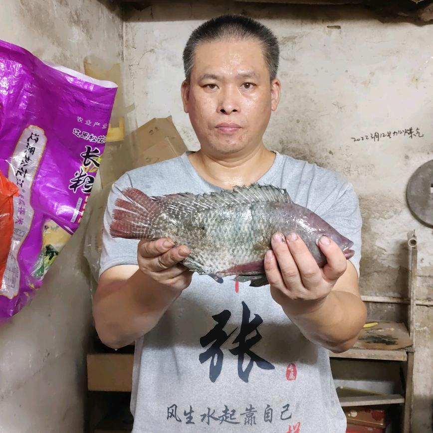 野钓爱号者