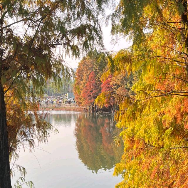 静候佳音👩‍❤‍💋‍👨