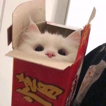 小熊