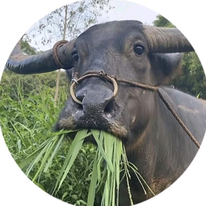 我原来叫啥来着？