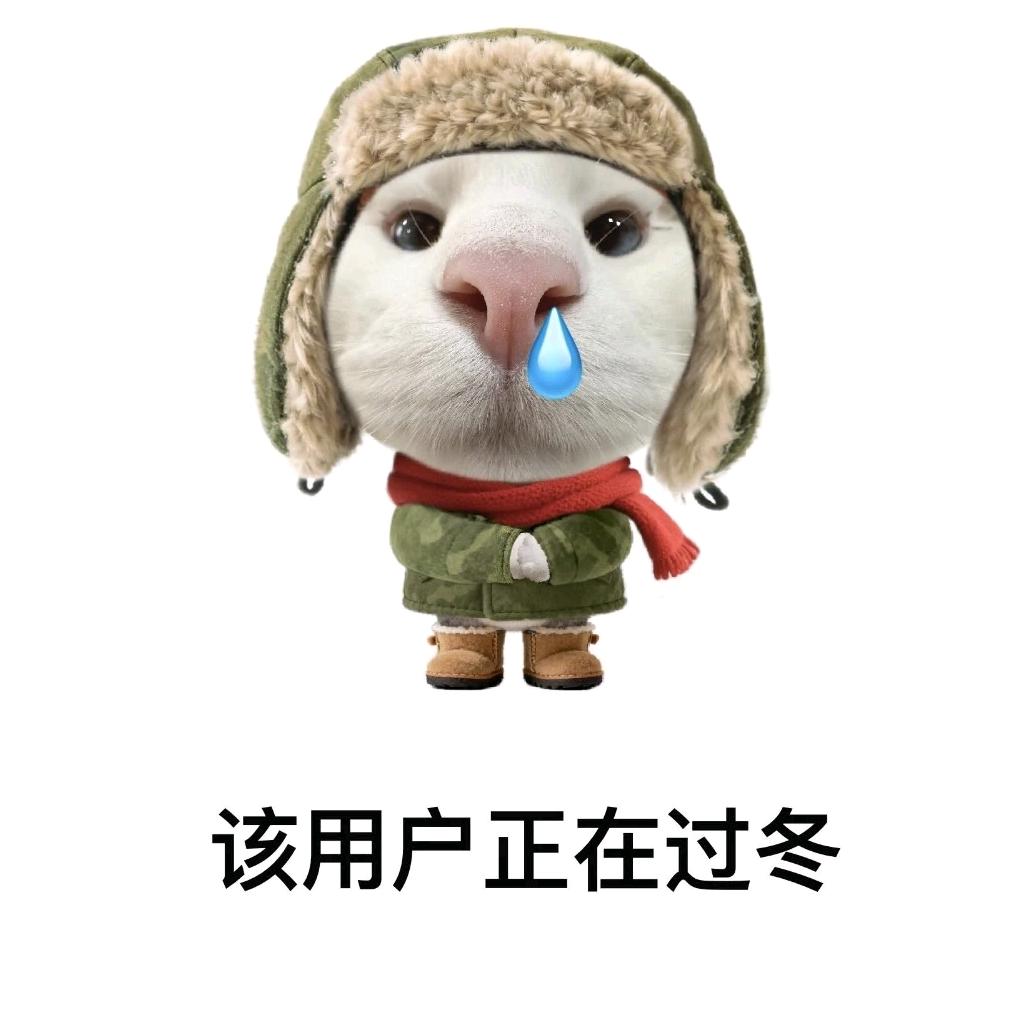 小颗粒蛋高