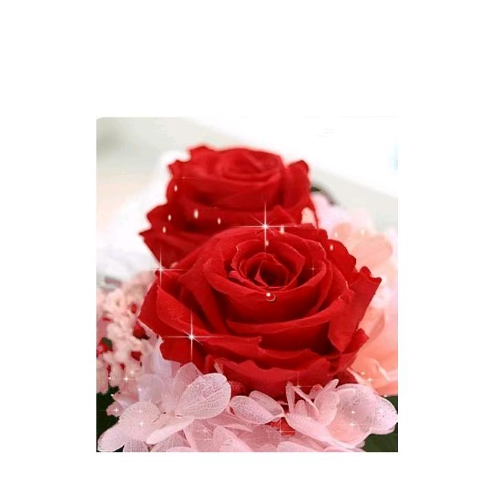 紅红火火🔥785186067