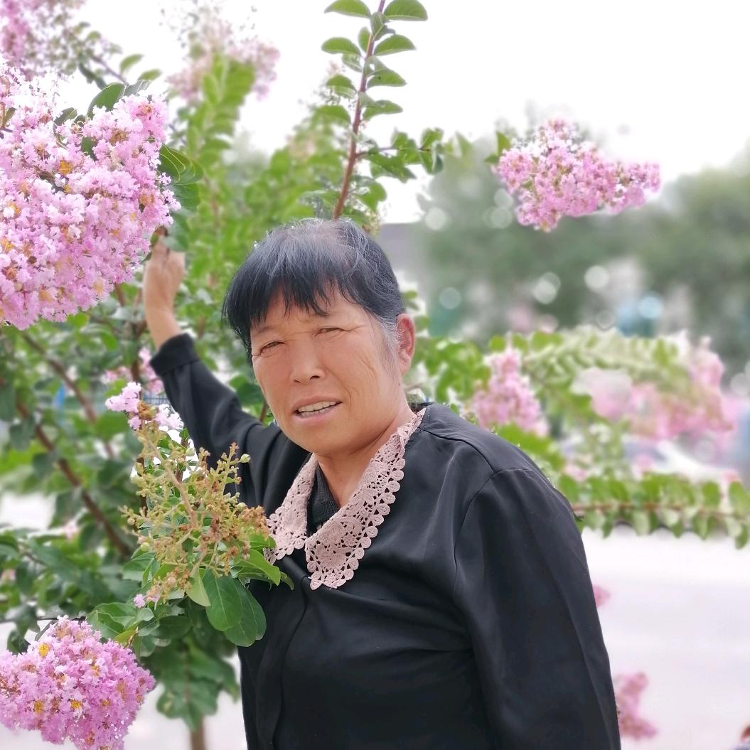 爱唠嗑的李奶奶
