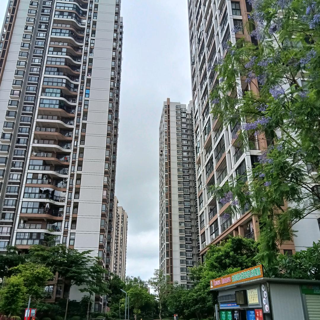覃忠