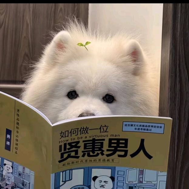 小冷