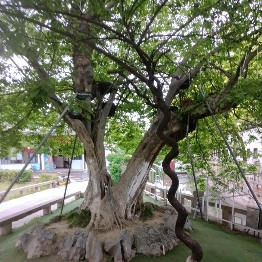 郝梦成真