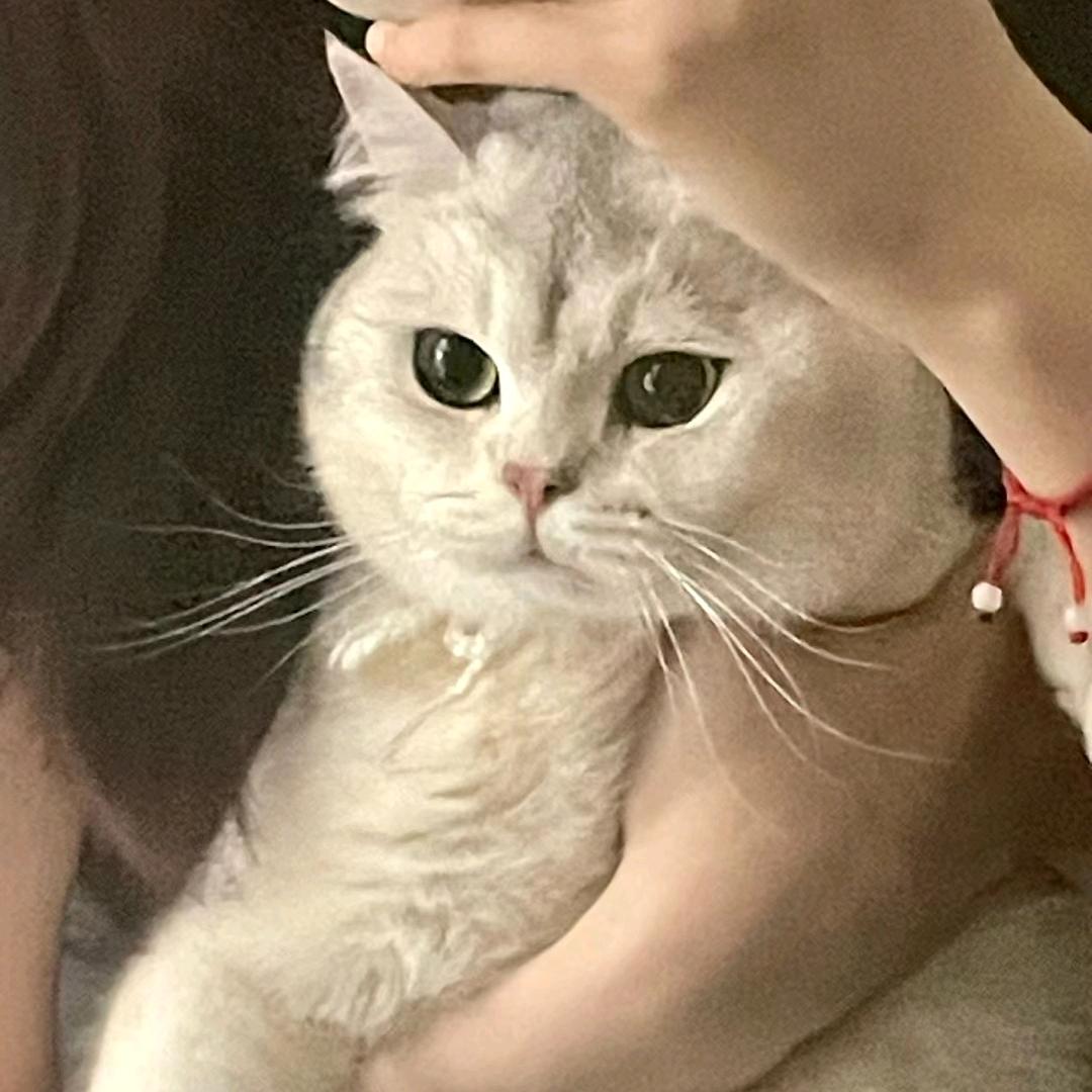 好运满格