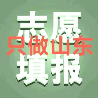 山东高考规划于老师