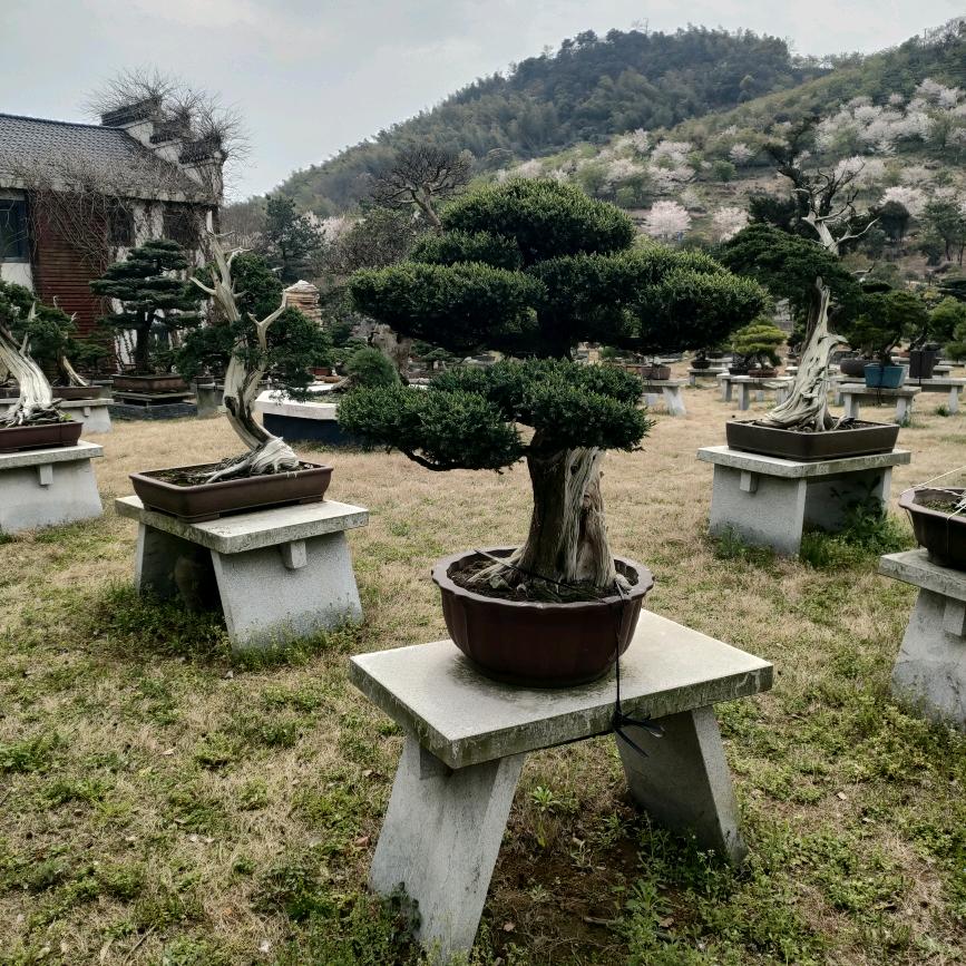 对阳光微笑