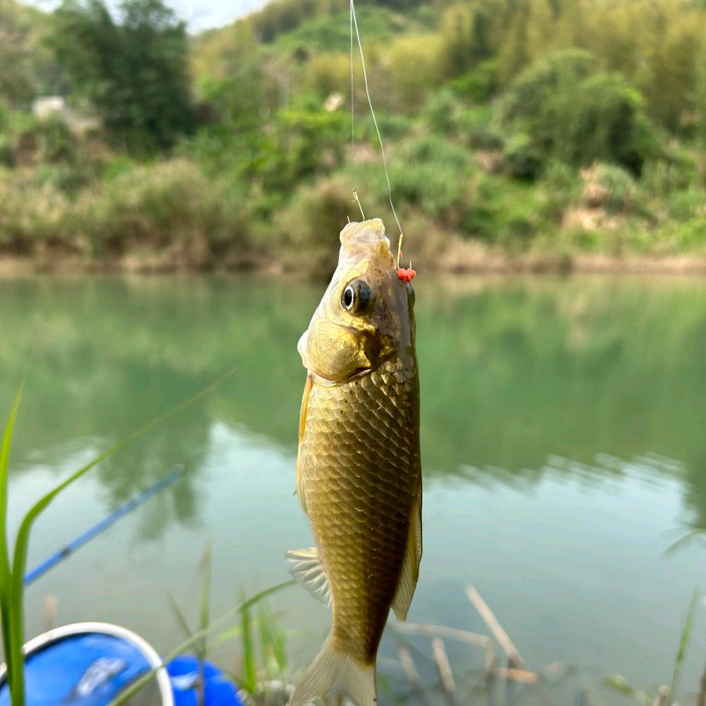野河边溜溜