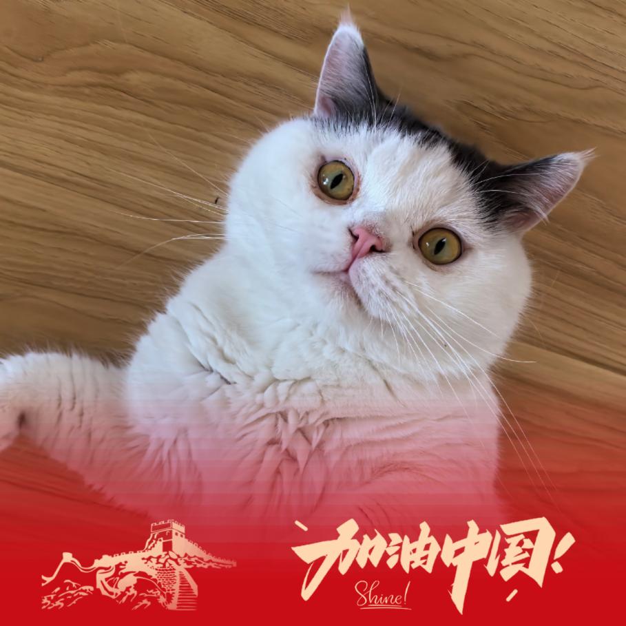 秉耕
