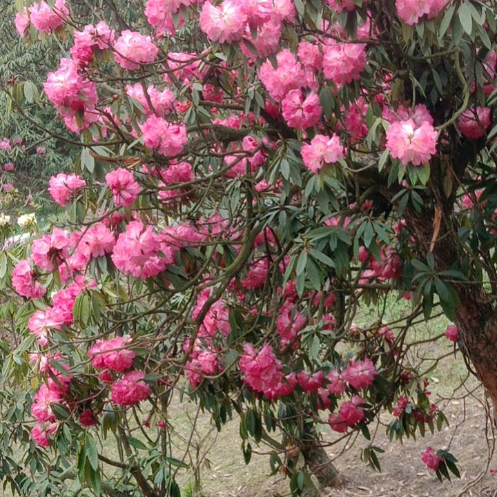 从来不管你，徐