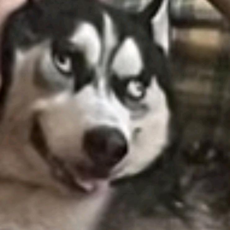 嘿嘿..头像
