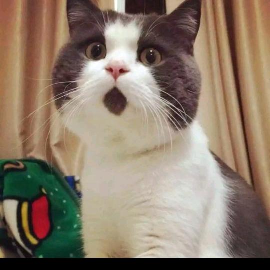 ღꪶꪊᥴ𝕜ꪗོ🍭