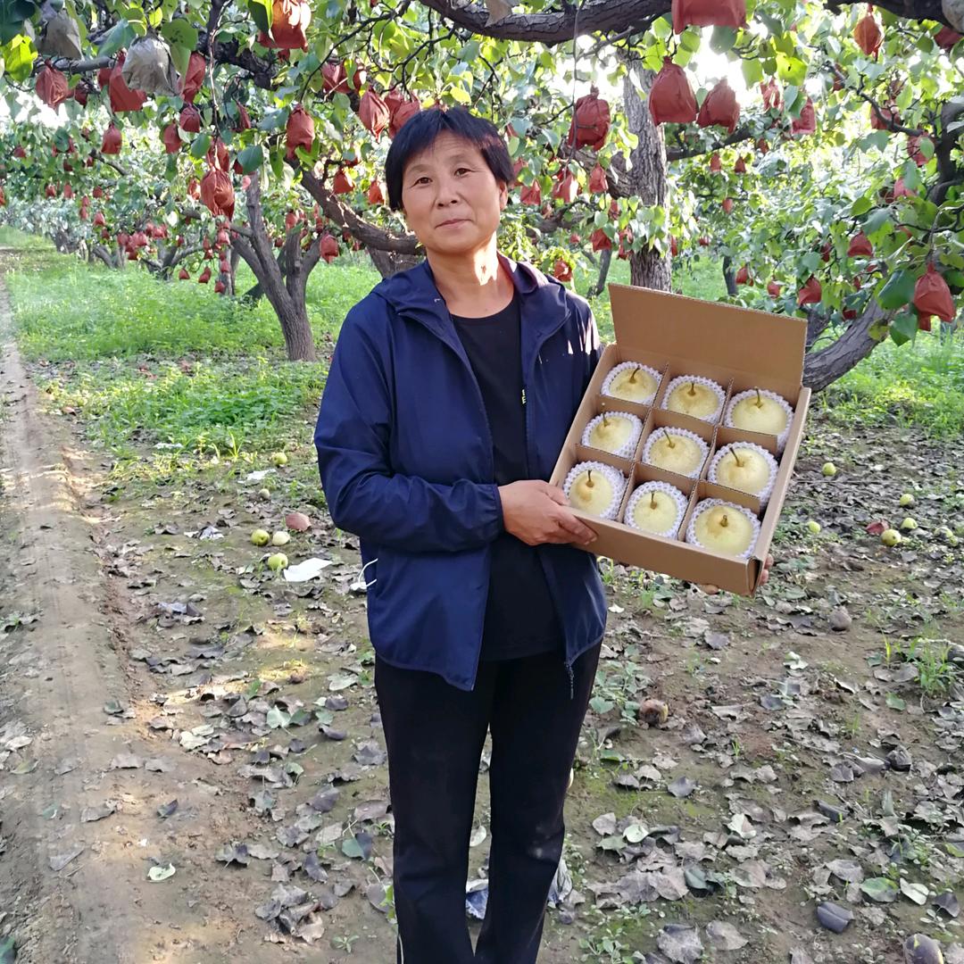 聂大姐果园生鲜