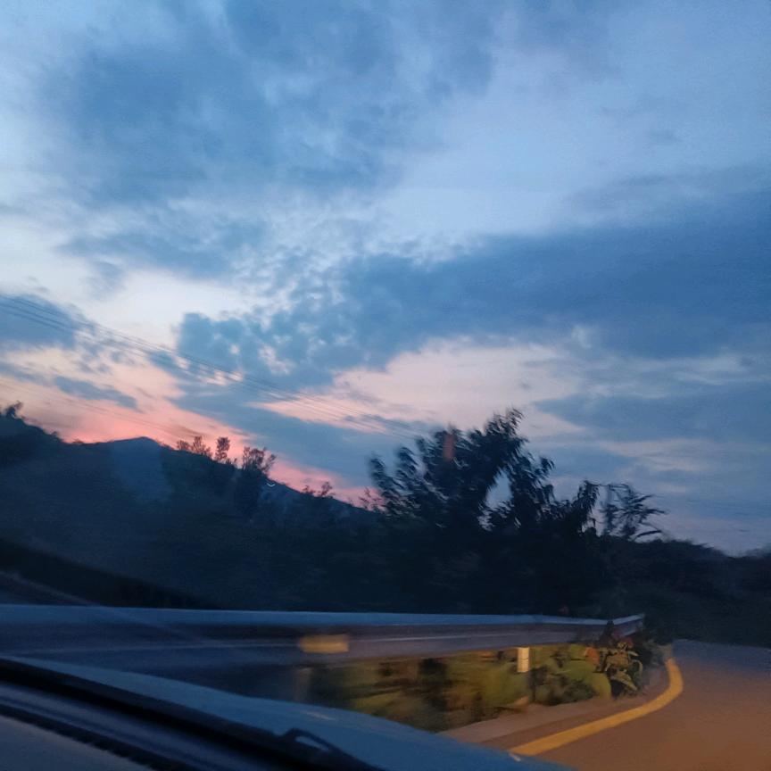 四川弘棠园林绿化工程有限公司