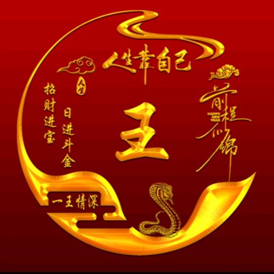 众星捧月