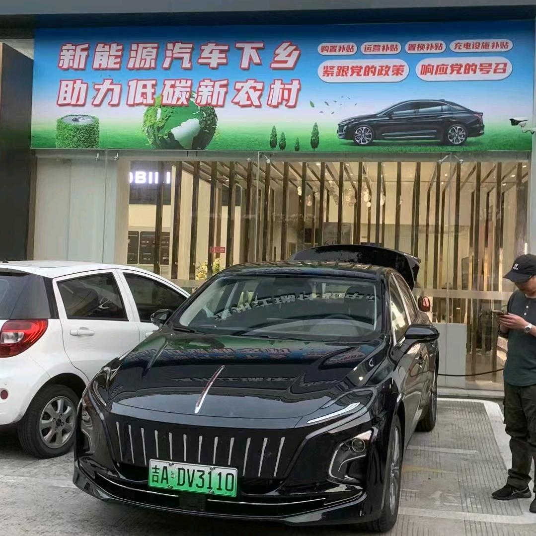 小潘石斛