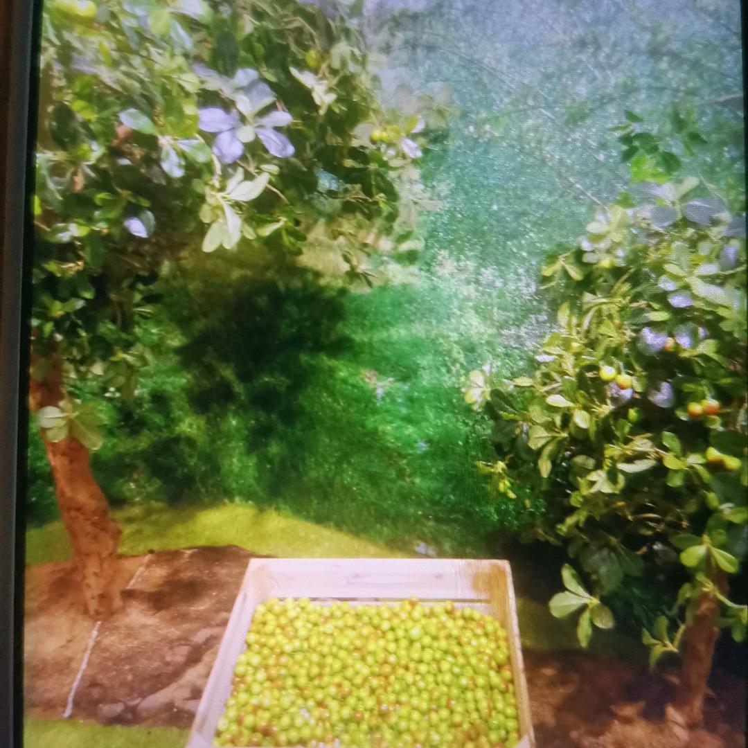 陈陈