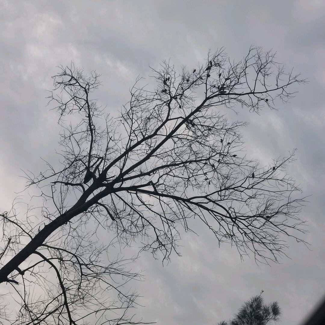 半  斤  ≠  八  两