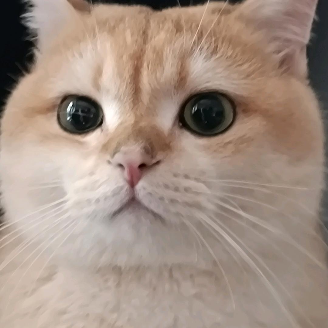 海🧂