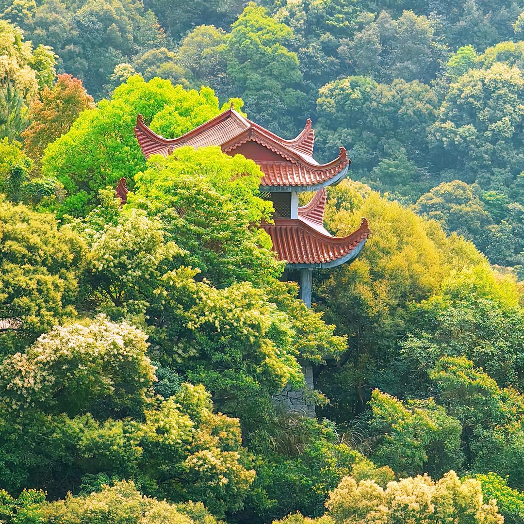 春天里