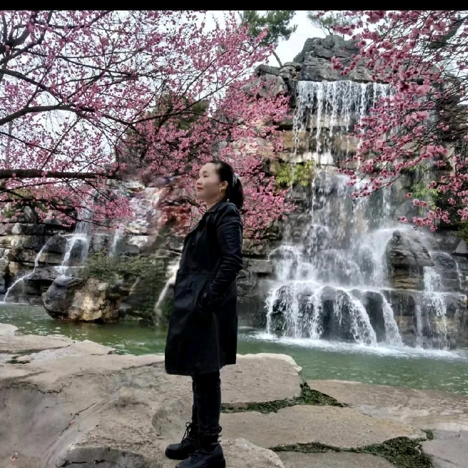 杨🌷伍💐妹🌻