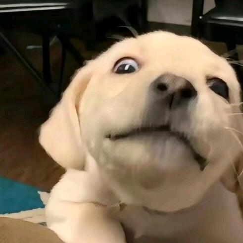 我勒个丢