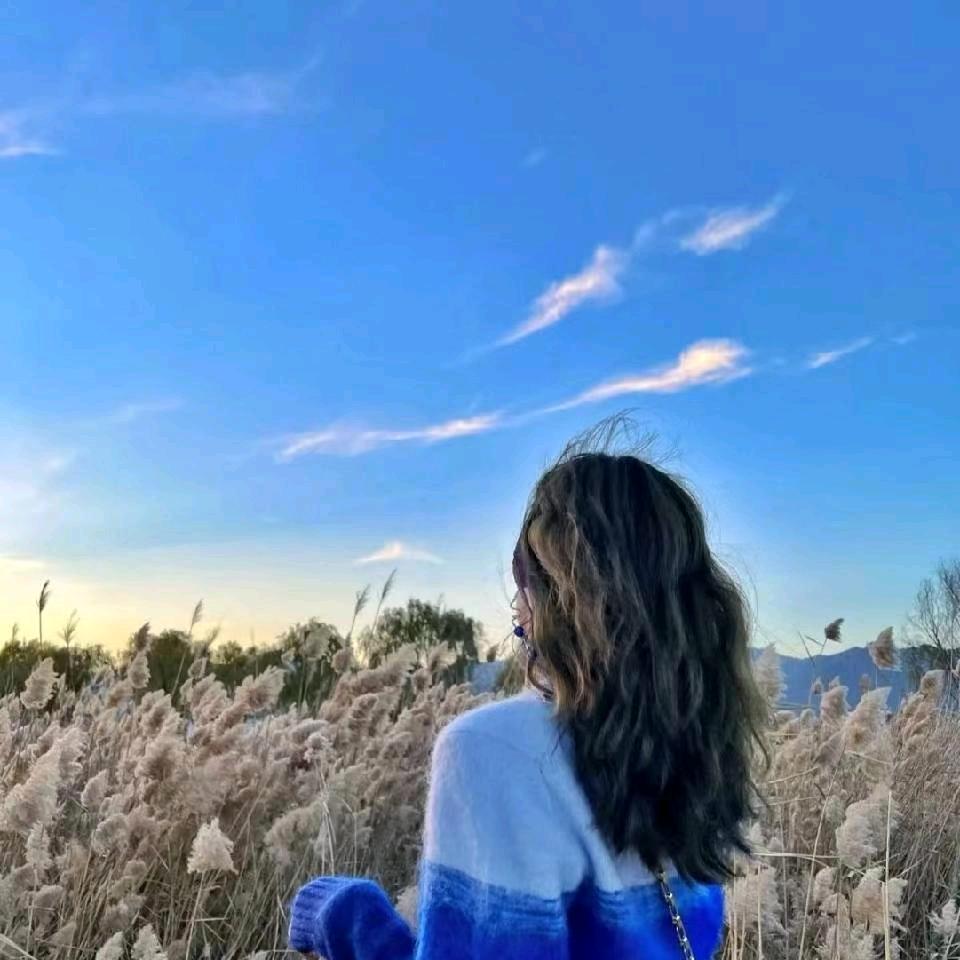 烫手的冰.𝙯ᙆ