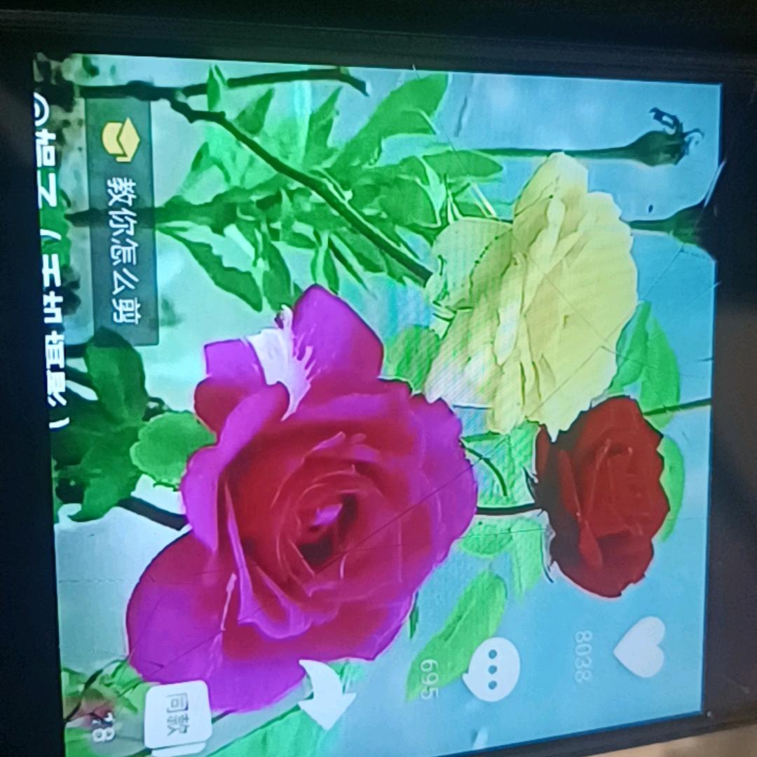孔姐