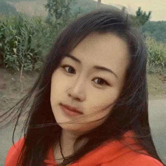 牛苗苗