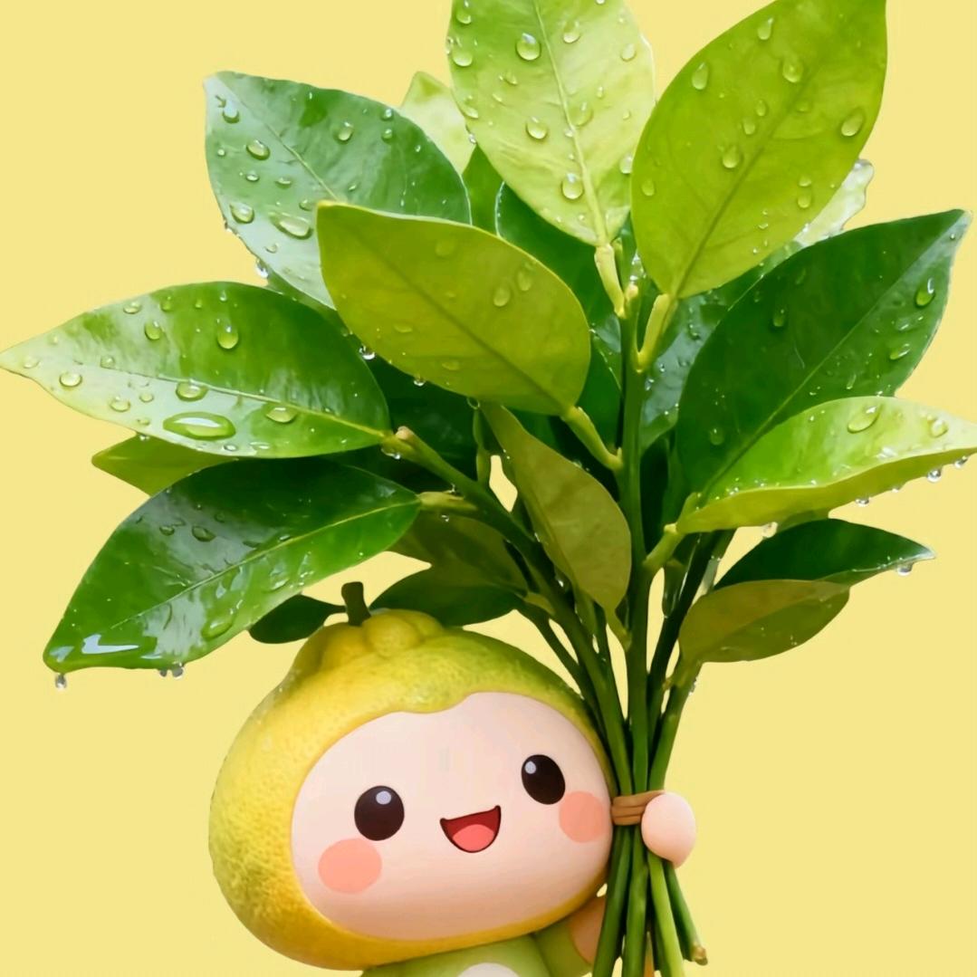 平安♥喜乐%