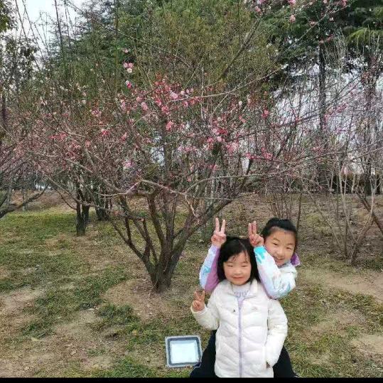 不忘农心