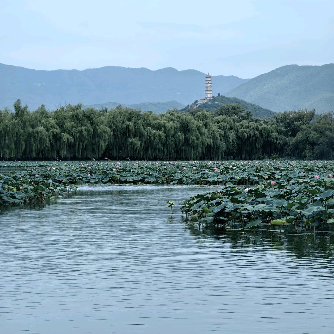 水沝淼㵘