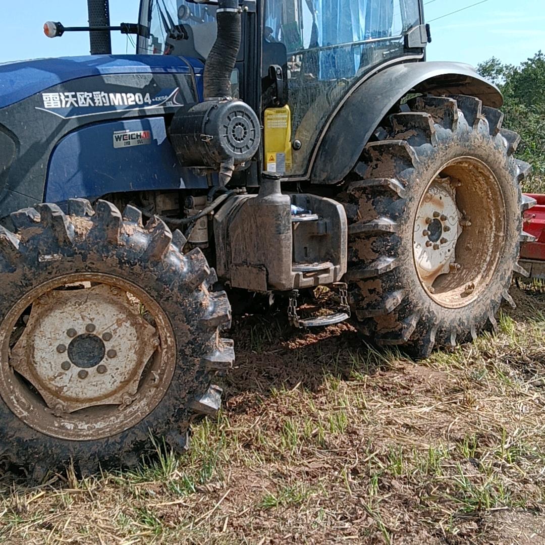 73农历10月22牛牛