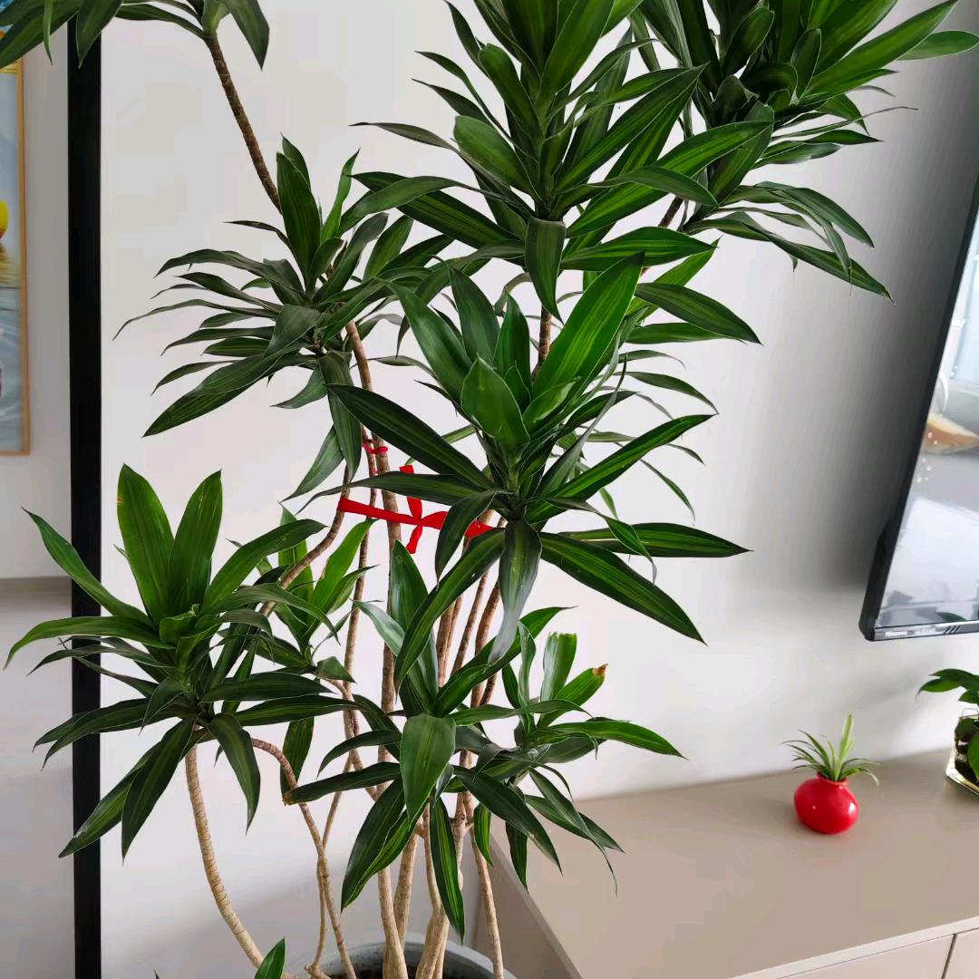 我们好像在哪见过