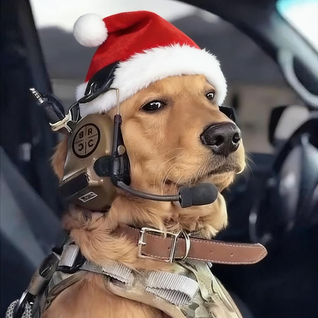 A导弹批发竹叶Саша