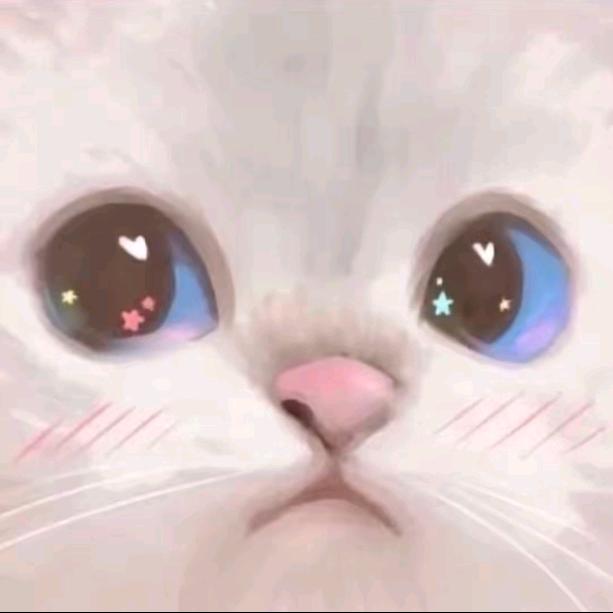 _会万福呦_