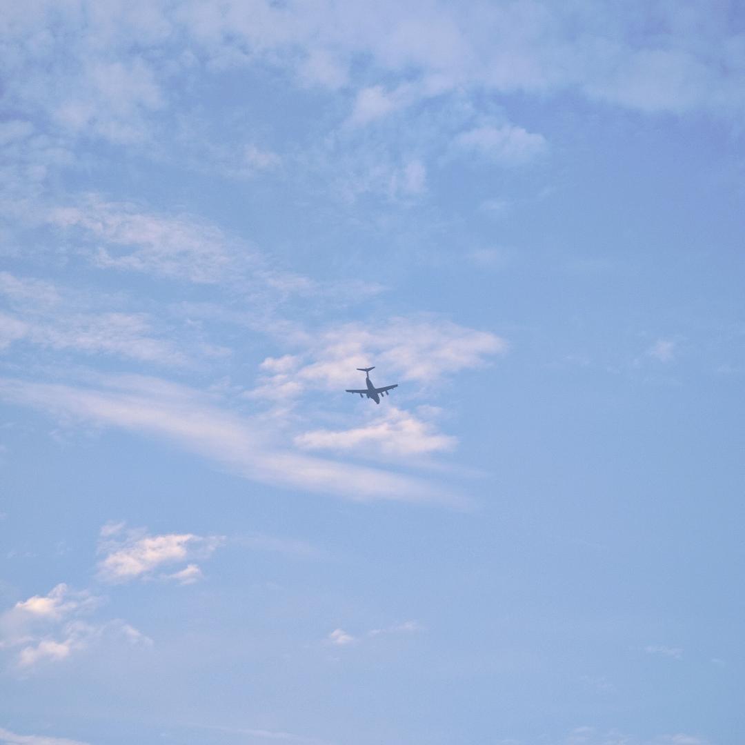 我的橘猫叫小二