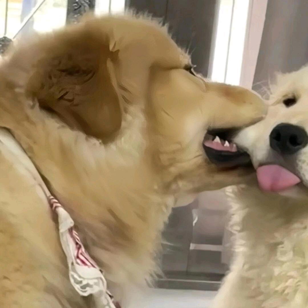 阿鹏会点山歌