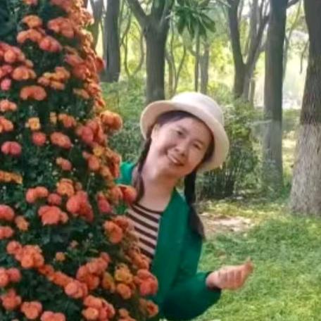 杜美美