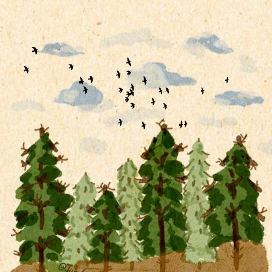 🍂打柔道的椰子