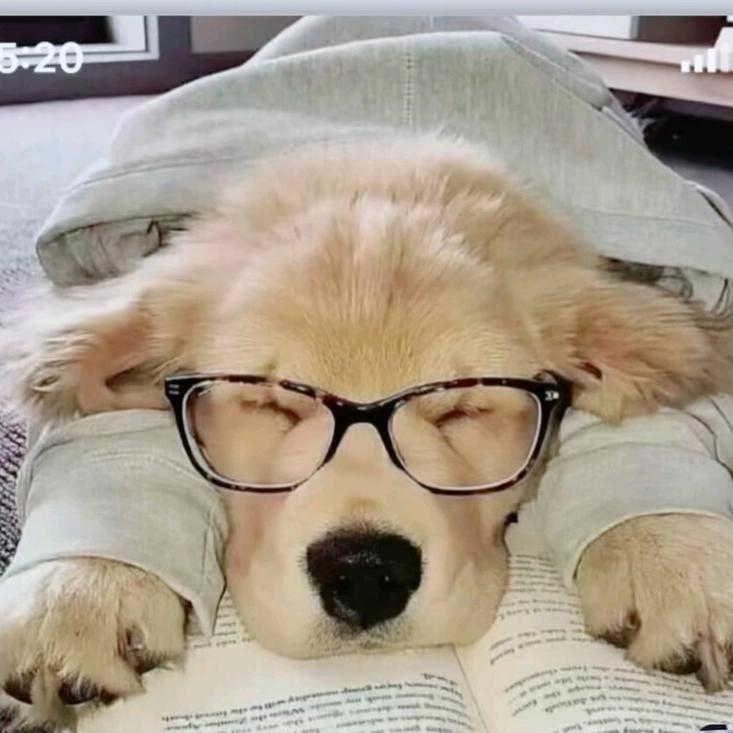 用户8557595688802 龍行天下