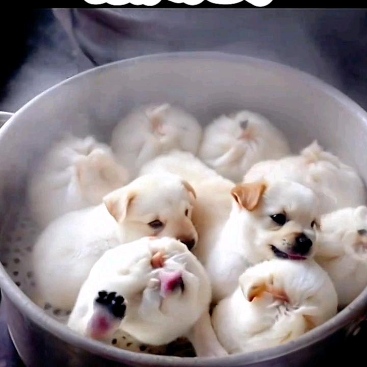 一生梦想，